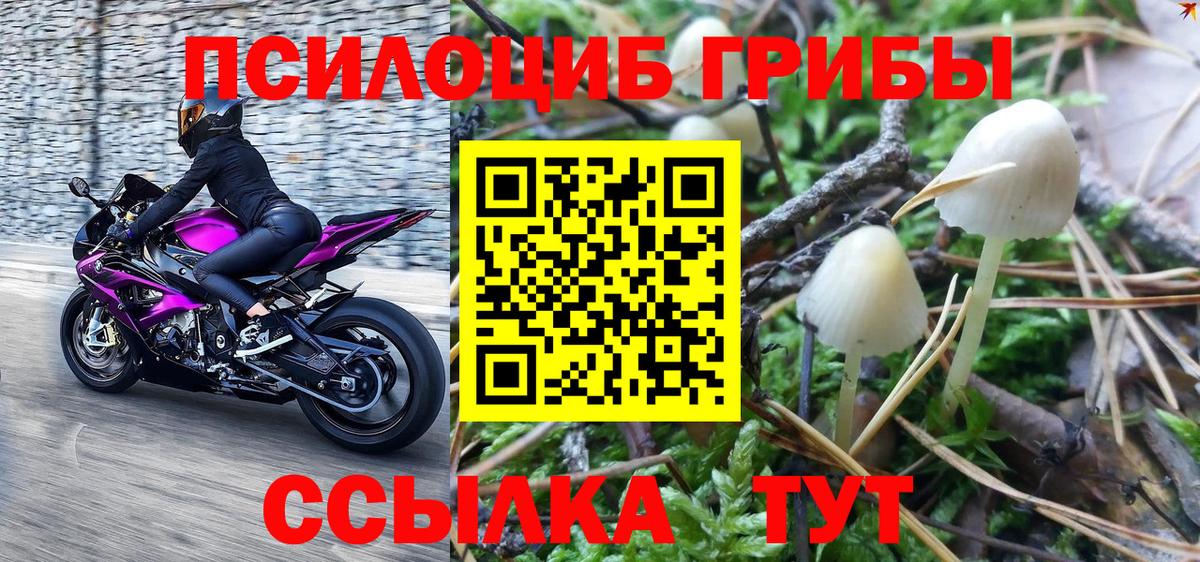 Псилоцибиновые грибы Cubensis Нефтеюганск